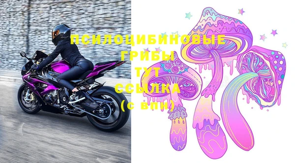 эйфоретик Горняк