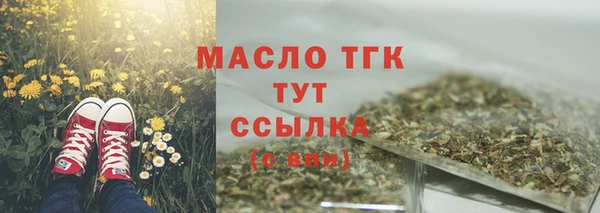 эйфоретик Горняк