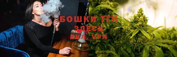 дживик Горнозаводск