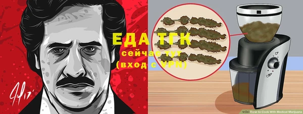 дживик Горнозаводск
