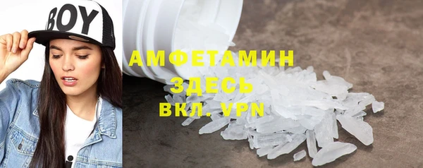 прущие грибы Горно-Алтайск