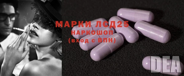 эйфоретик Горняк