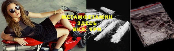прущие грибы Горно-Алтайск