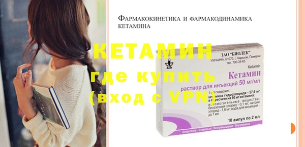 прущие грибы Горно-Алтайск