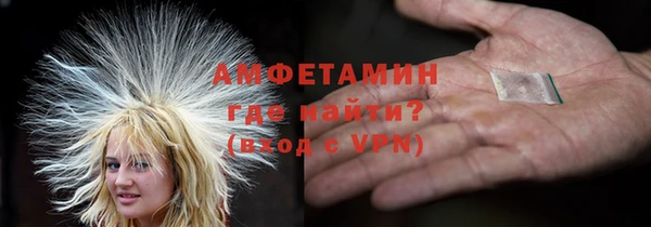 прущие грибы Горно-Алтайск