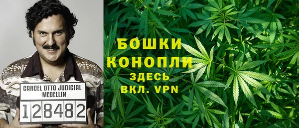 эйфоретик Горняк