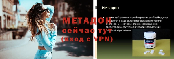 прущие грибы Горно-Алтайск