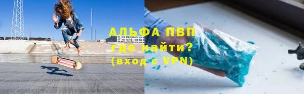 прущие грибы Горно-Алтайск