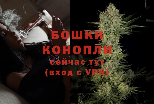 дживик Горнозаводск