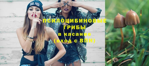 эйфоретик Горняк