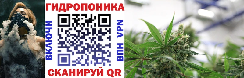 Марихуана план  Купить закладки  Бугульма 